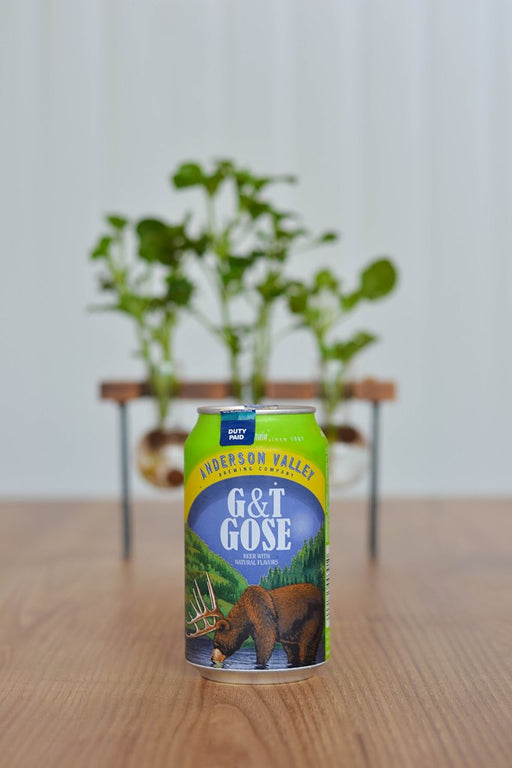 Anderson Valley G&T Gose