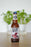 Stockade Chop Shop American Pale Ale (330ml)