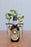Hitachino Nest Amber Ale (330ml)