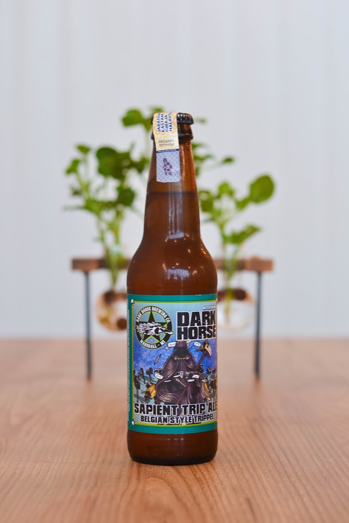 Dark Horse Sapient Trip Ale